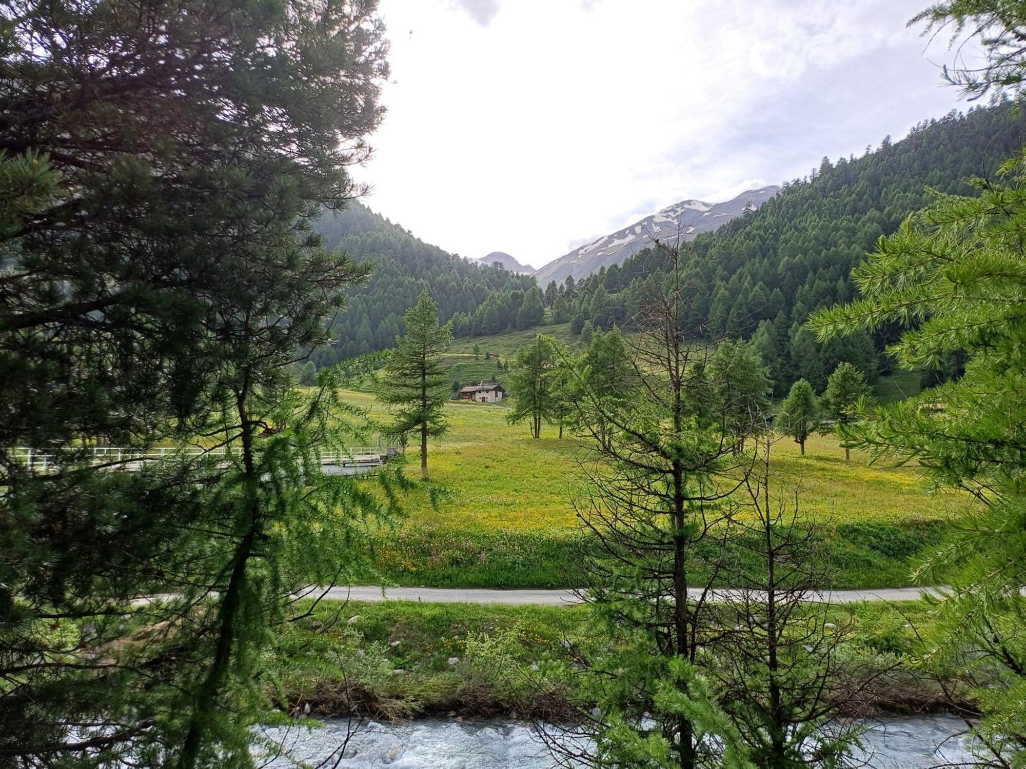 Renzo Livigno