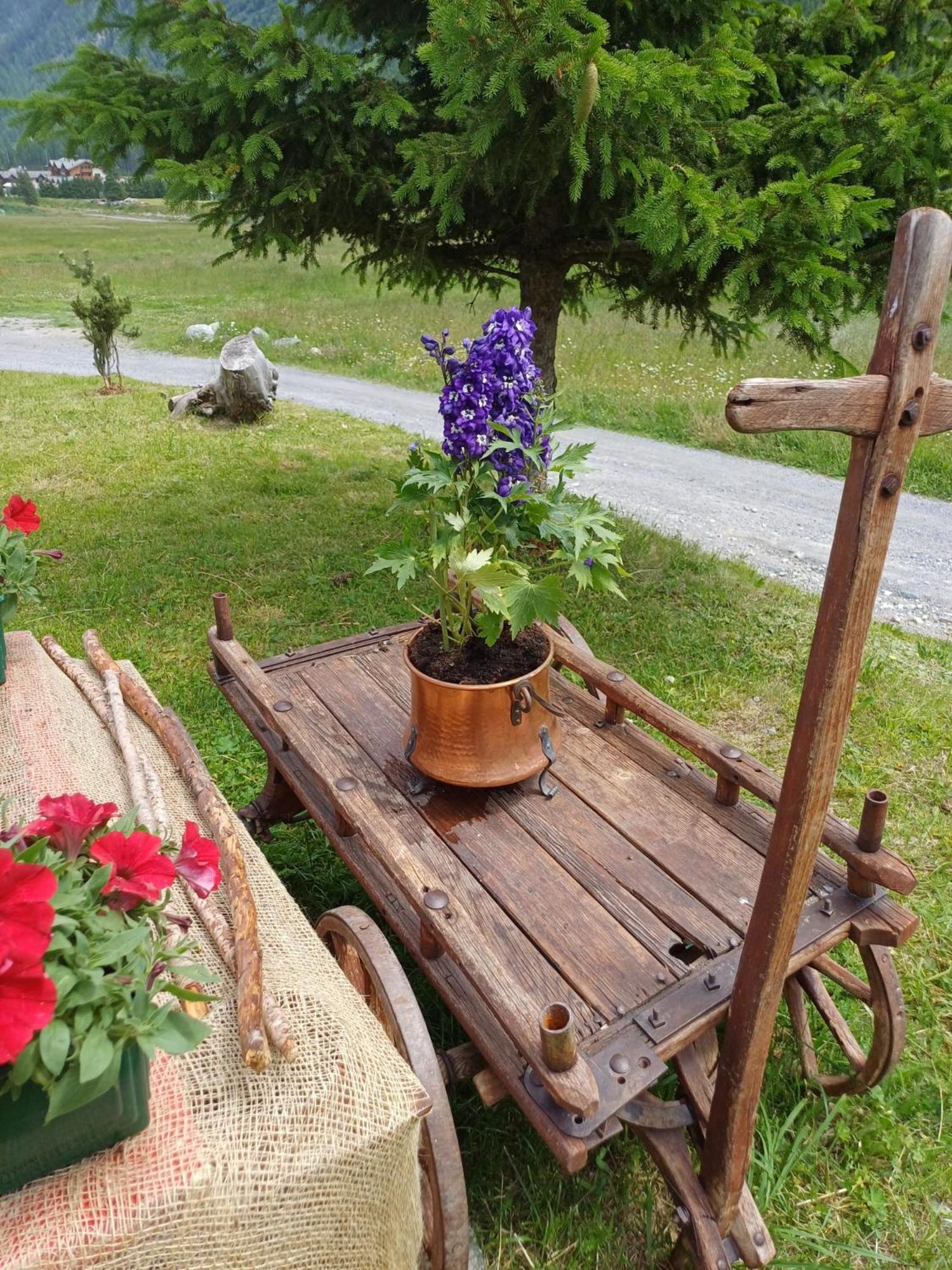 Renzo Livigno